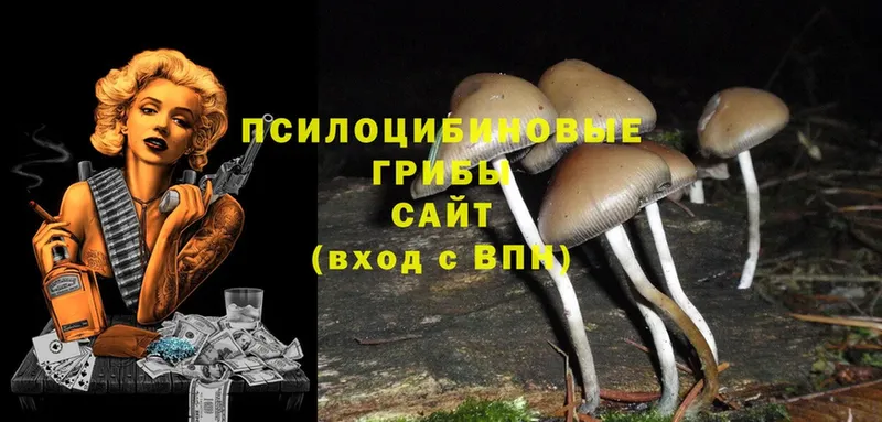 как найти закладки  Артёмовск  Псилоцибиновые грибы Cubensis 